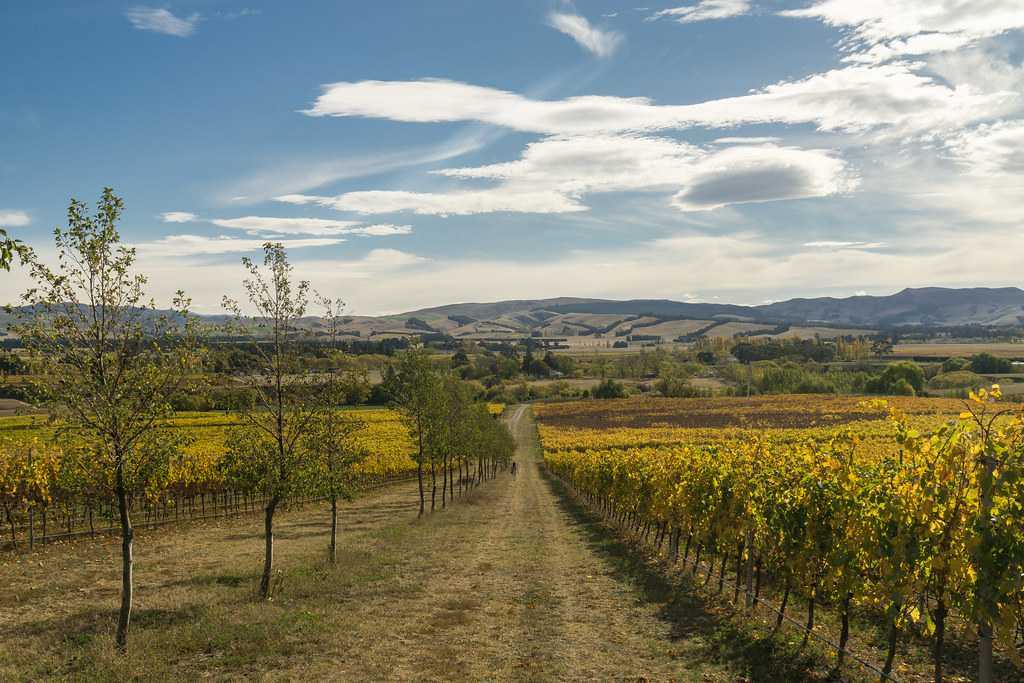 Waipara best Package Trip
