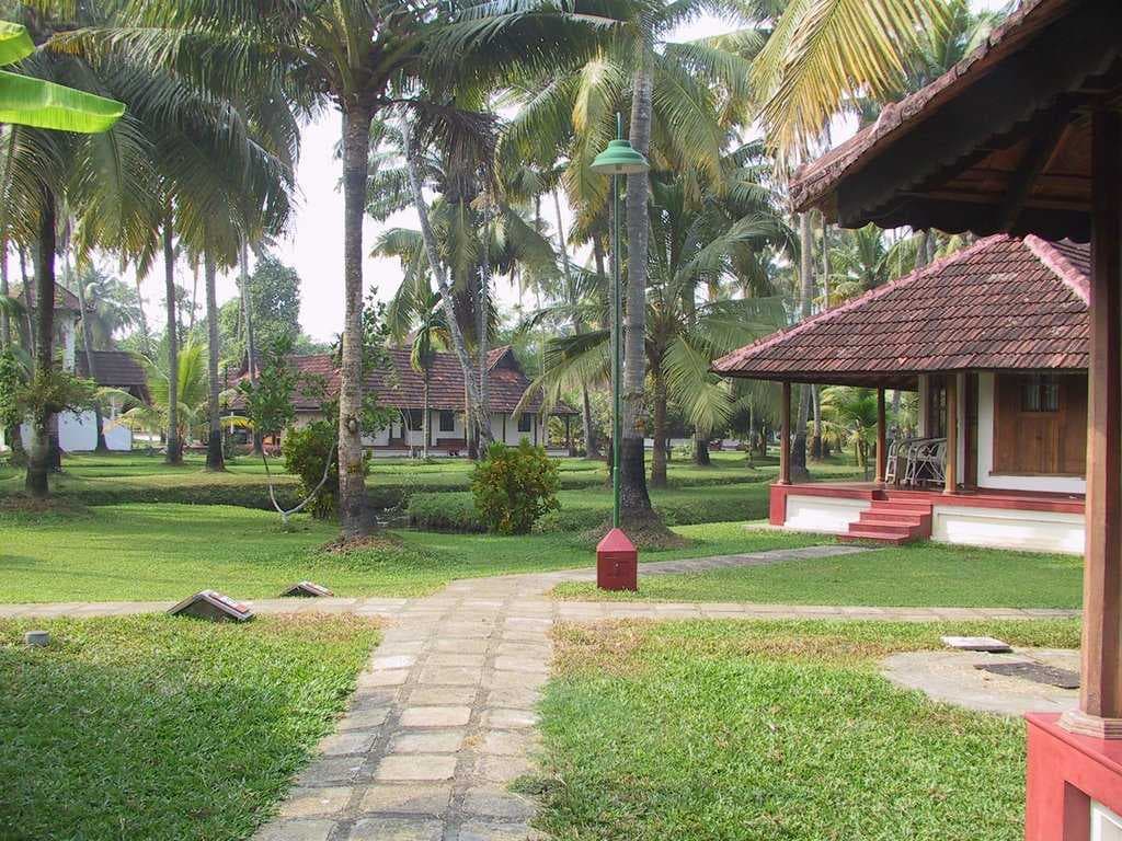Alleppey view 8
