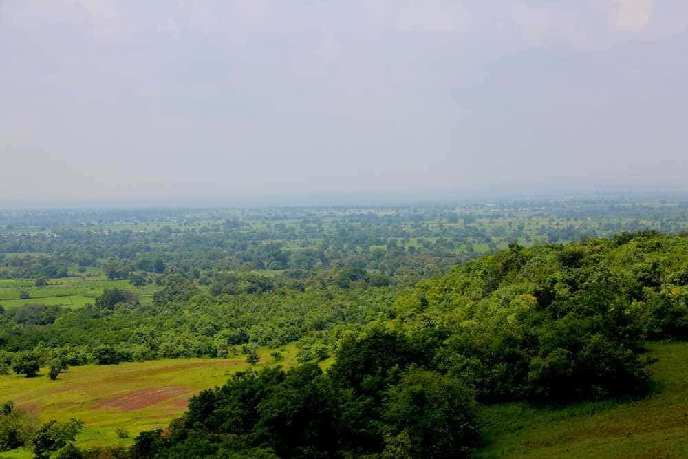 Attraction in Ananthagiri Hills - SyncTrip