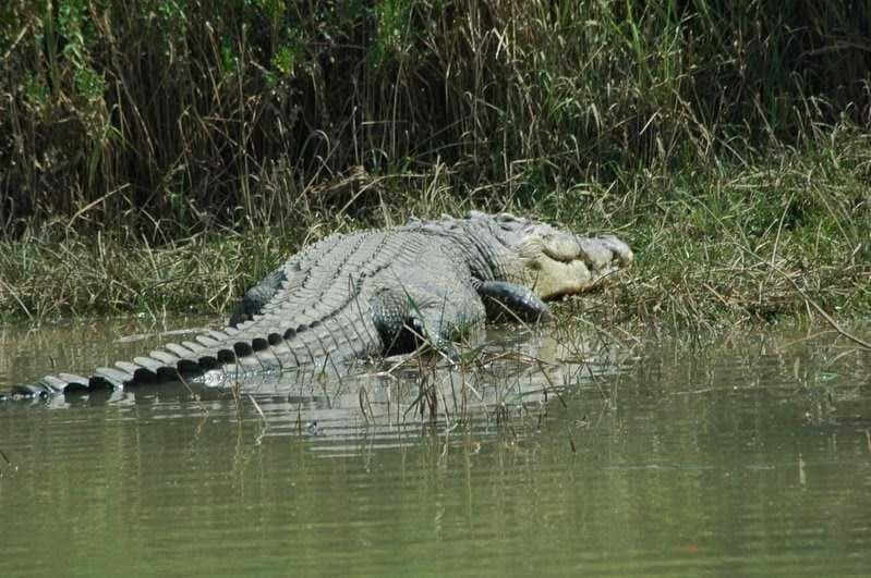 Attraction in Cuttack - SyncTrip