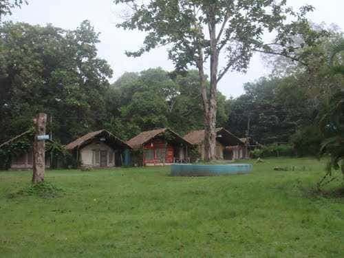 Attraction in Dandeli - SyncTrip