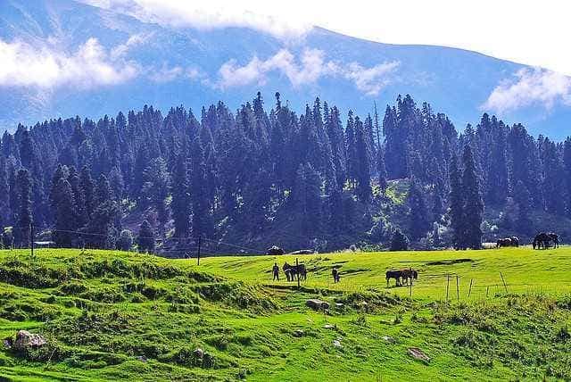 Gulmarg view 4