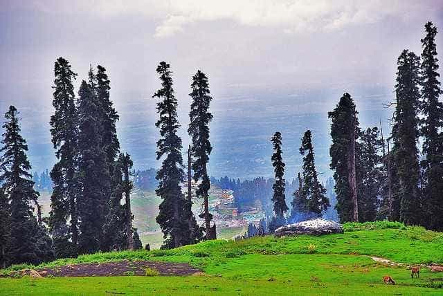 Gulmarg view 10