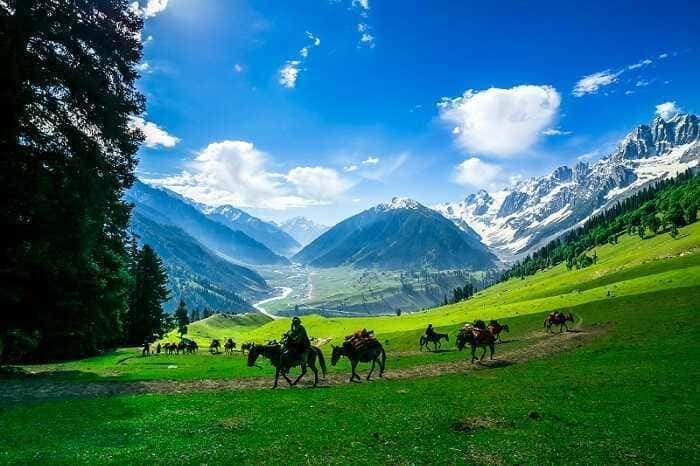 Kashmir view 14