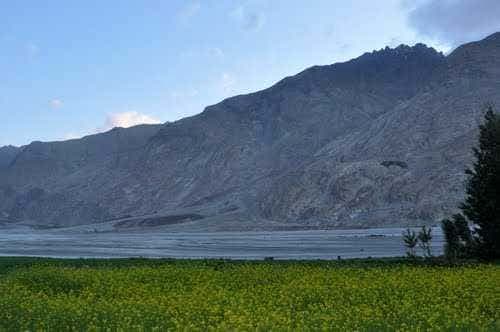 Ladakh view 14