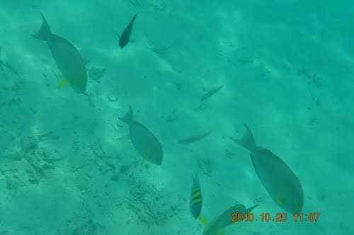 Lakshadweep view 3