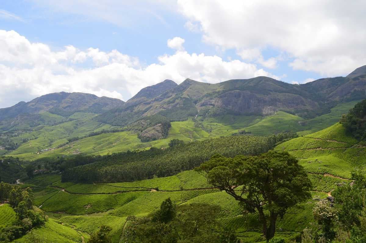 Munnar view 11
