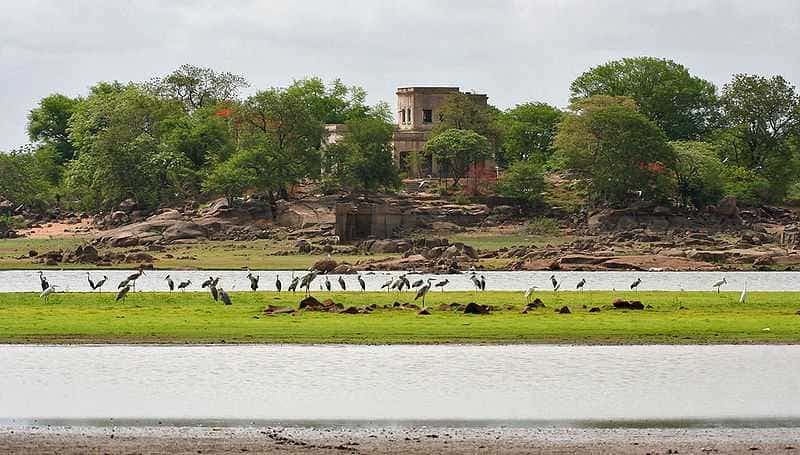 Attraction in Nizamabad - SyncTrip
