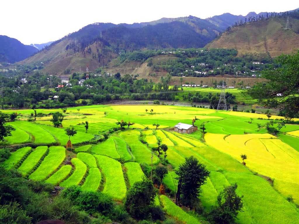 Srinagar view 10